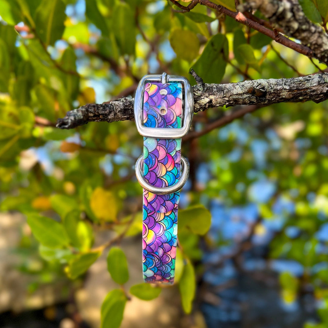 Mermaid Scales BioThane® Collar | SeaFlower Co
