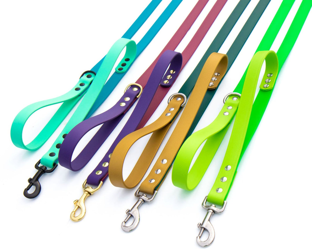 BioThane Leash with traffic Handle