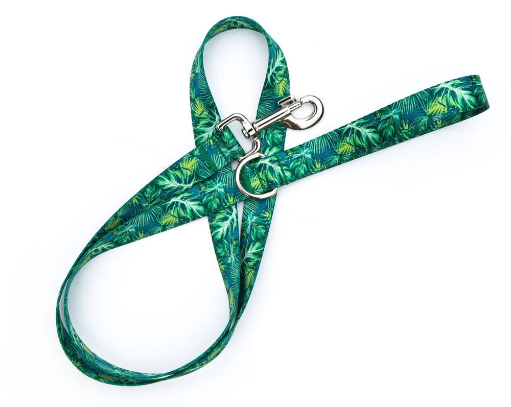 Tropical Palm Tree Dog Leash | SeaFlower Co