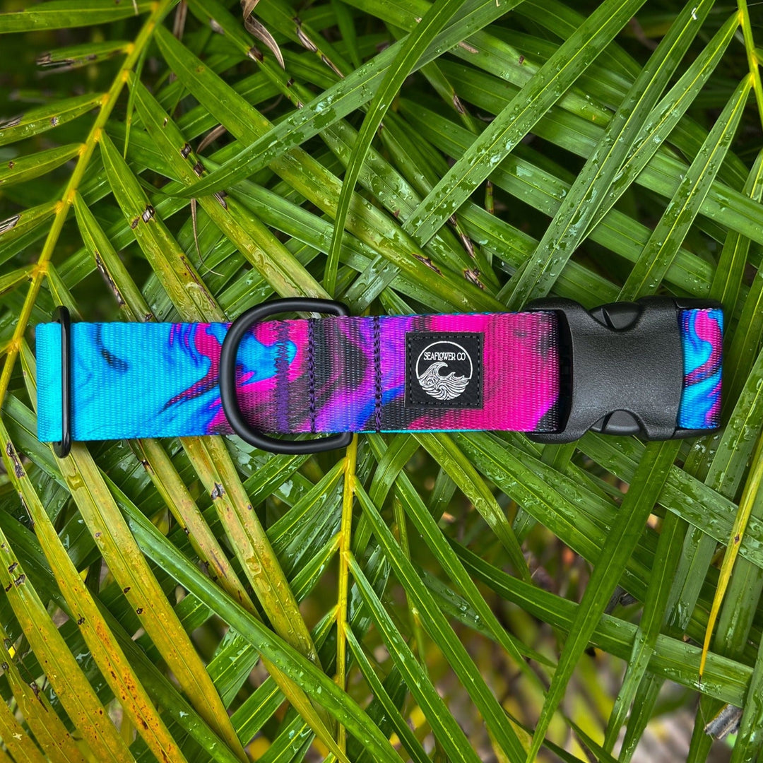 Teal & Purple Abstract Dog Collar | SeaFlower Co