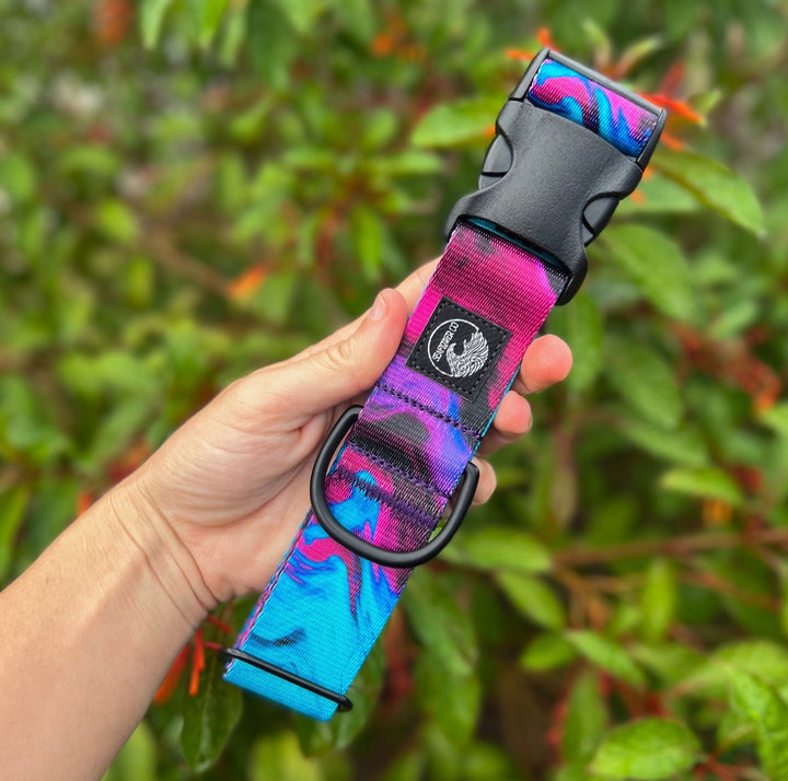 Teal & Purple Abstract Dog Collar | SeaFlower Co