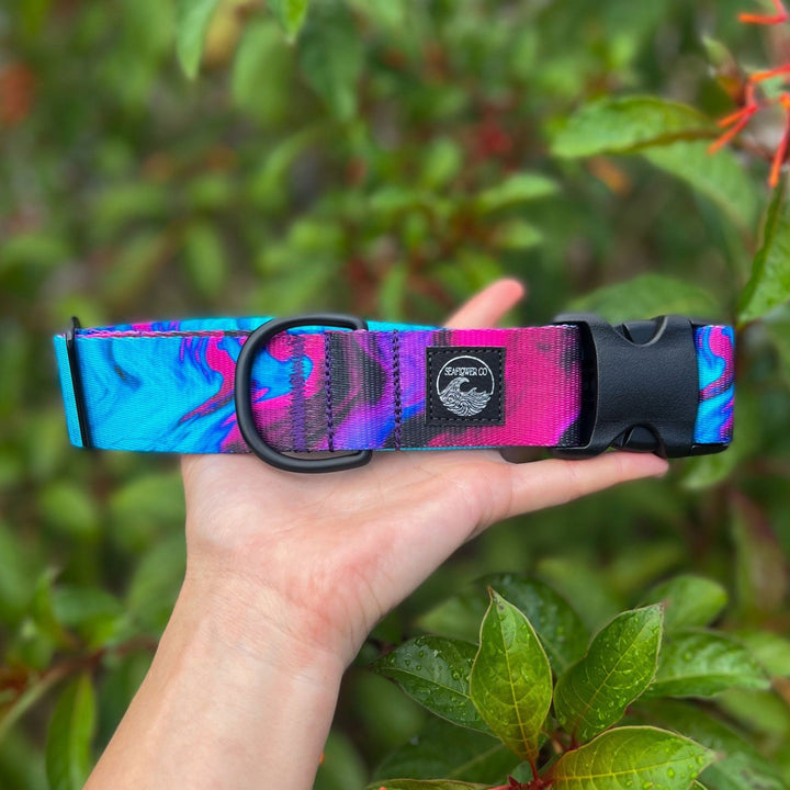 Teal & Purple Abstract Dog Collar | SeaFlower Co