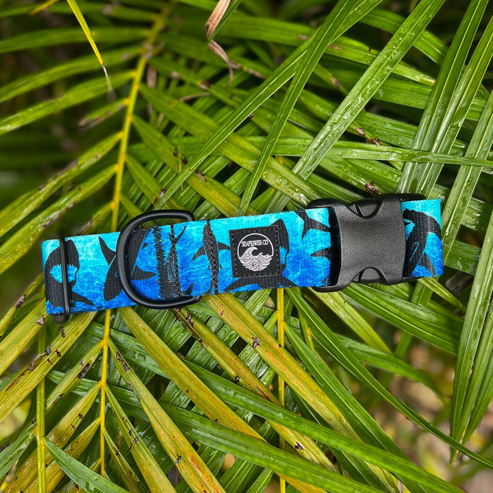 Shark Dog Collar | SeaFlower Co