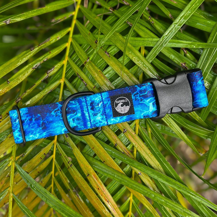 Blue Wave Dog Collar | SeaFlower Co
