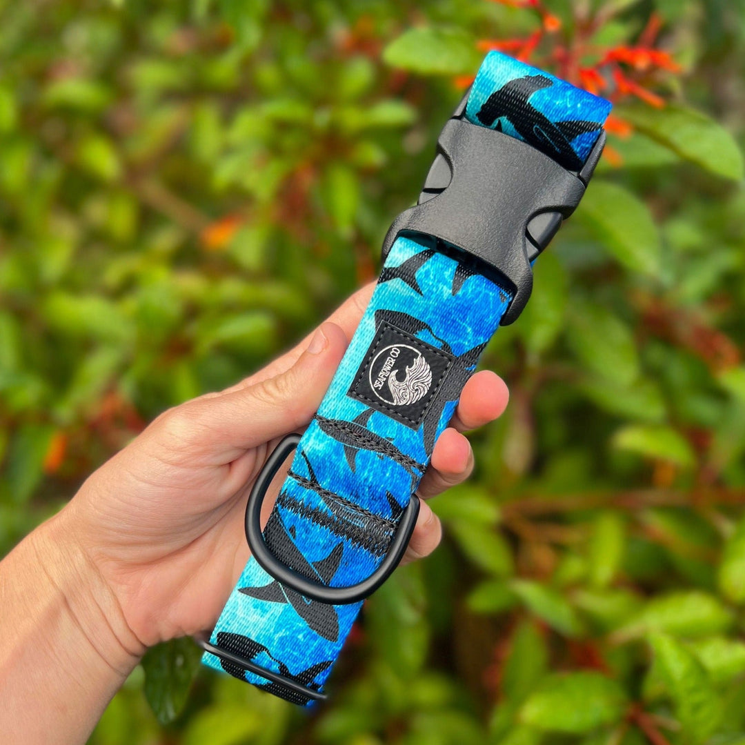 Shark Dog Collar | SeaFlower Co
