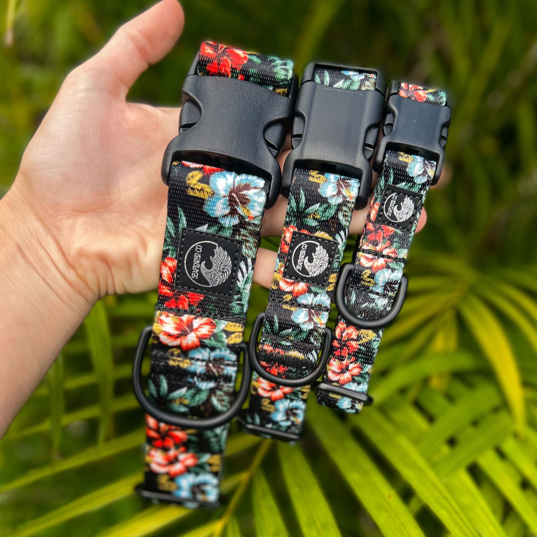 Hawaiian Floral Dog Collar | SeaFlower Co