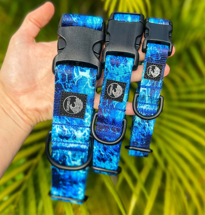 Wave Dog Collar | SeaFlower Co