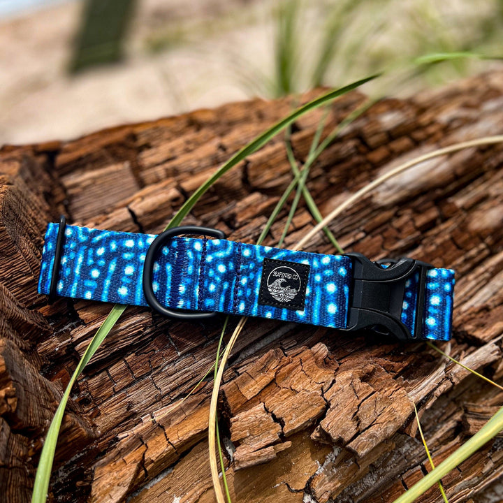 Whale Shark Dog Collar | SeaFlower Co