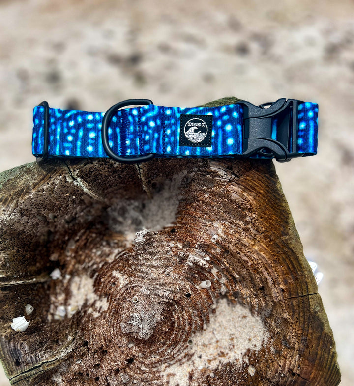 Whale Shark Dog Collar | SeaFlower Co