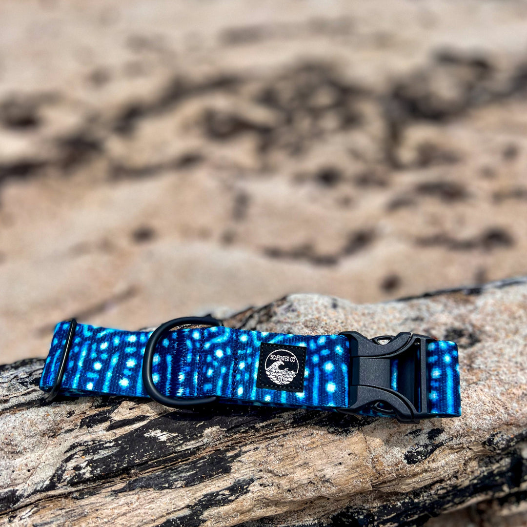 Whale Shark Dog Collar | SeaFlower Co
