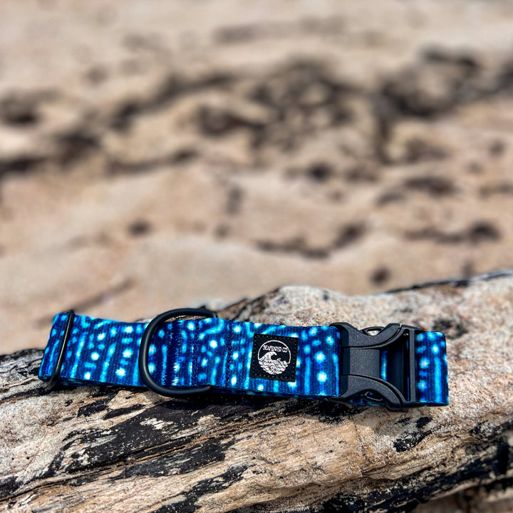 Whale Shark Dog Collar | SeaFlower Co