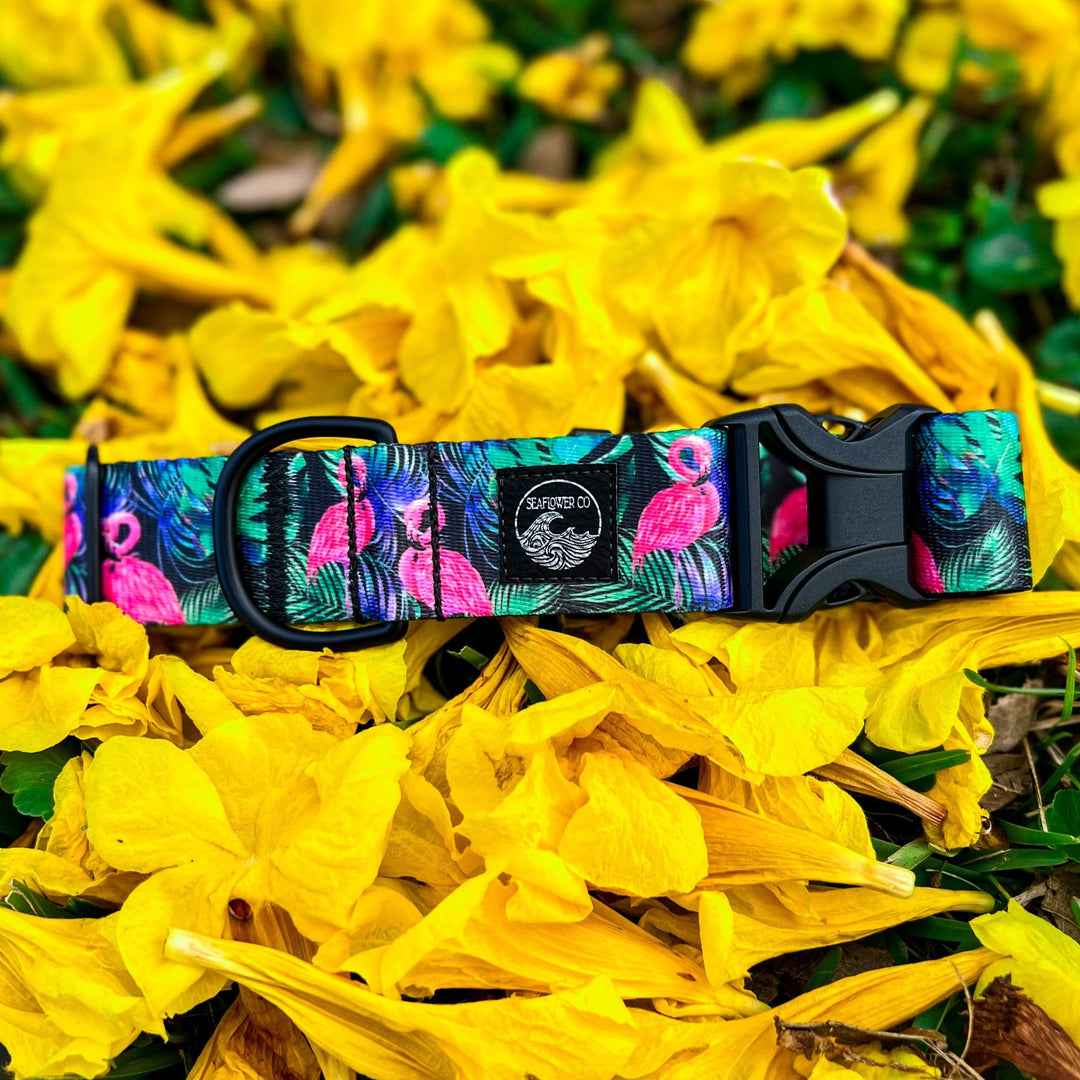 Tropical Flamingo Dog Collar