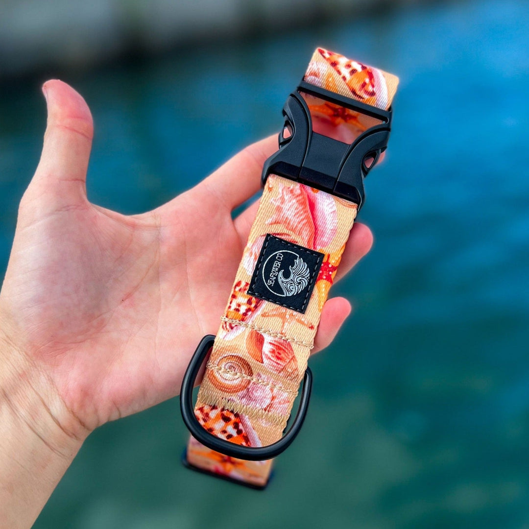 Seashell Dog Collar | SeaFlower Co