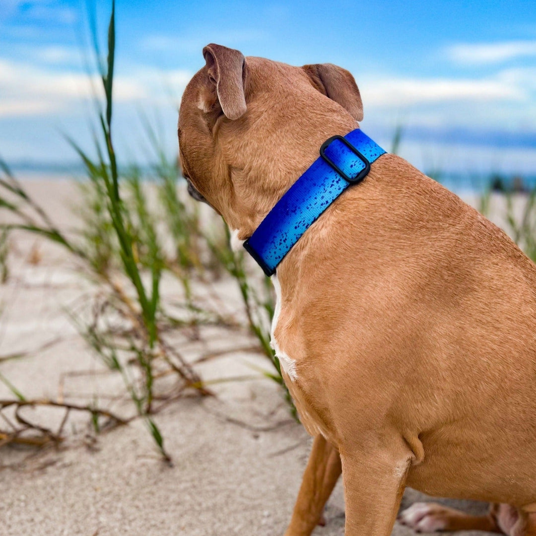 Blue Mahi Dog Collar | SeaFlower Co