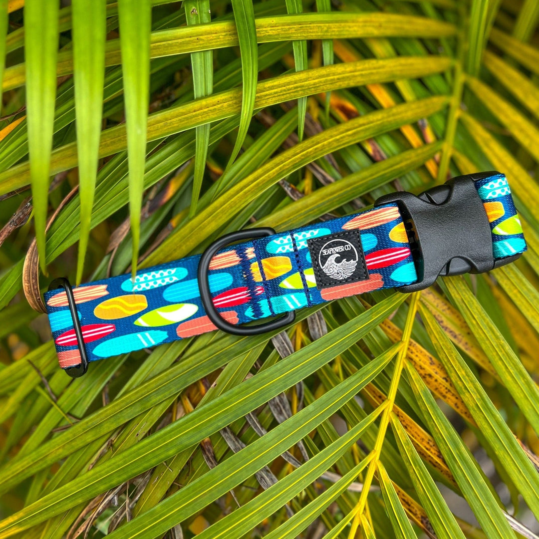 Surfboard Dog Collar | SeaFlower Co