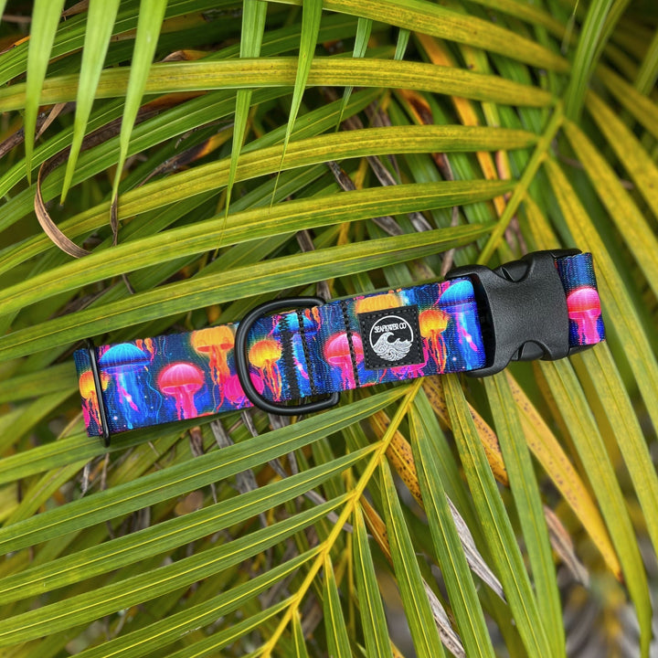Jellyfish Dog Collar | SeaFlower Co