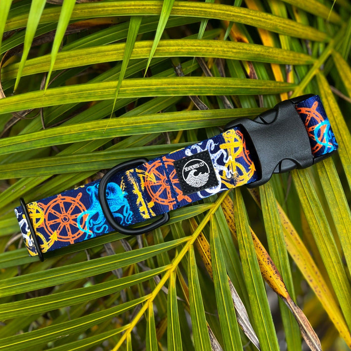 Nautical Dog Collar | SeaFlower Co