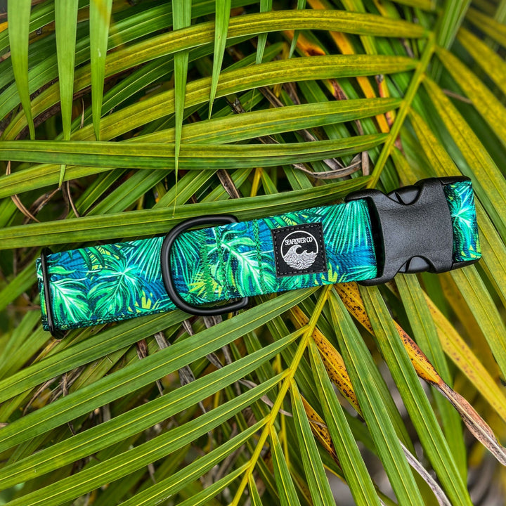 Nautical Dog Collar | SeaFlower Co