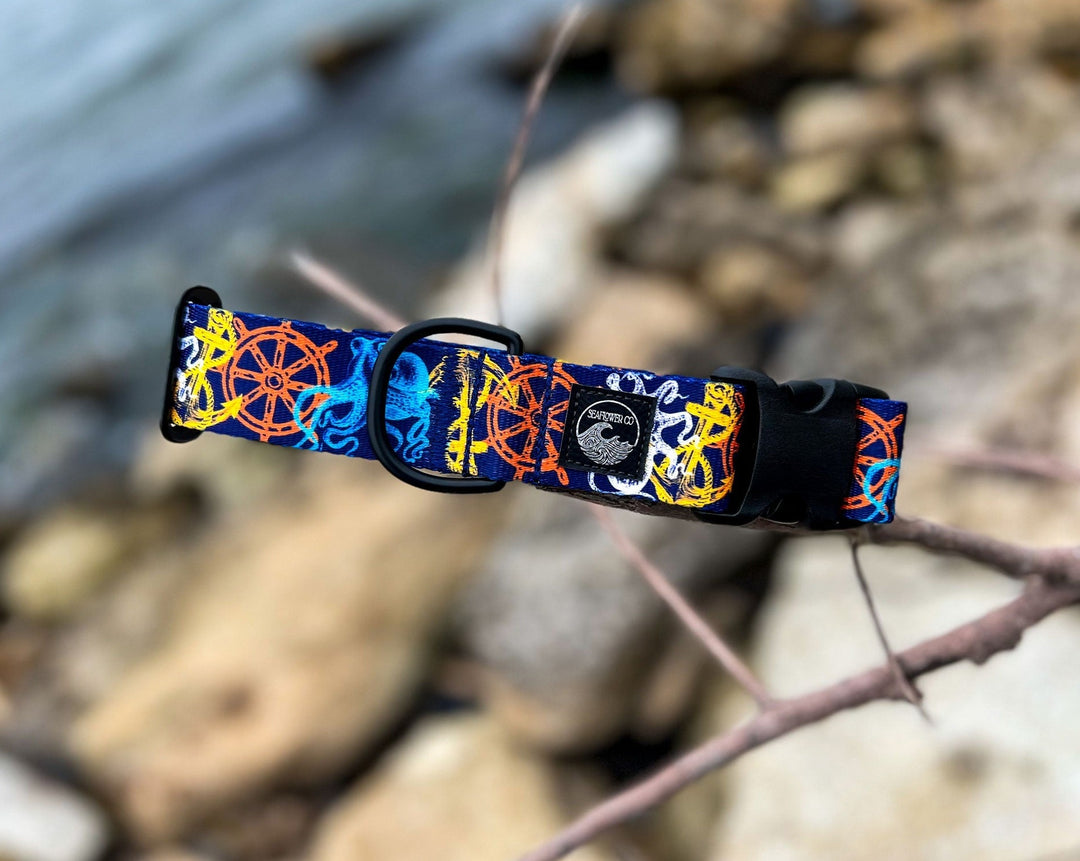 Nautical Dog Collar | SeaFlower Co