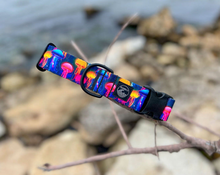 Jellyfish Dog Collar | SeaFlower Co