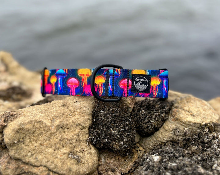 Jellyfish Dog Collar | SeaFlower Co