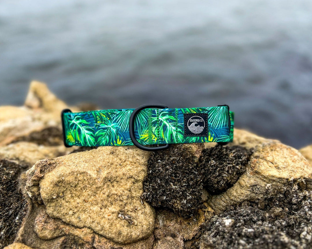 Nautical Dog Collar | SeaFlower Co