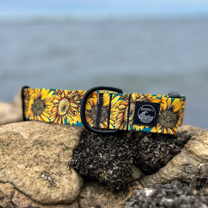 Sunflower Dog  Collar | SeaFlower Co