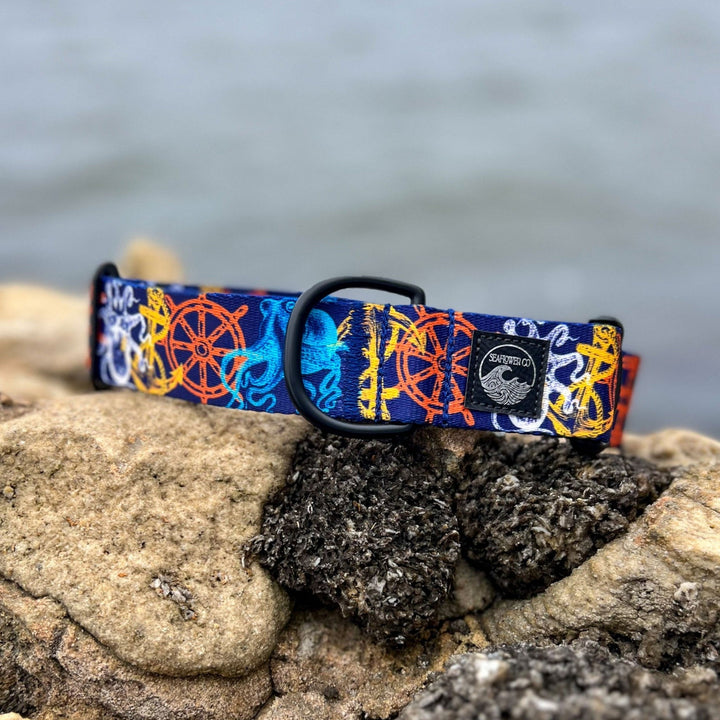 Nautical Dog Collar | SeaFlower Co