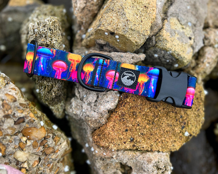 Jellyfish Dog Collar | SeaFlower Co
