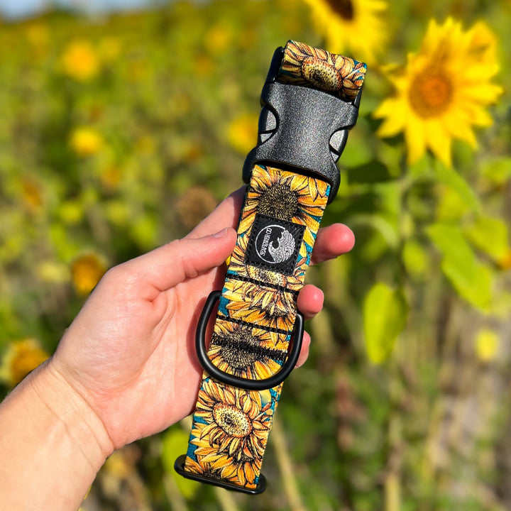 Sunflower Dog Collar | SeaFlower Co