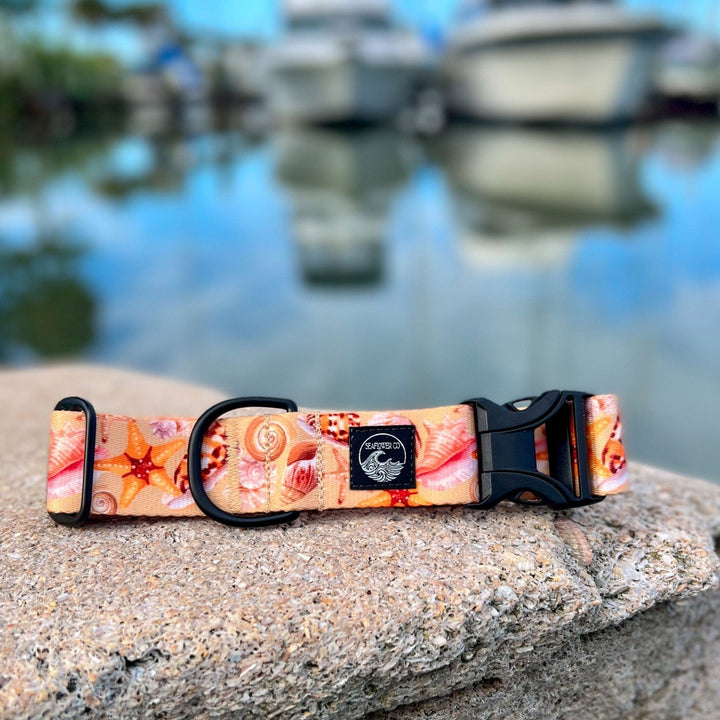 Seashell Dog Collar | SeaFlower Co