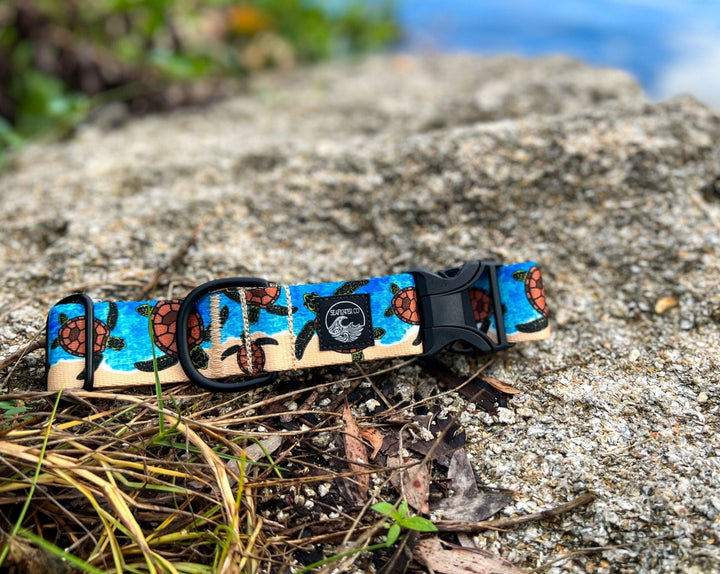 Sea Turtle Dog Collar | SeaFlower Co