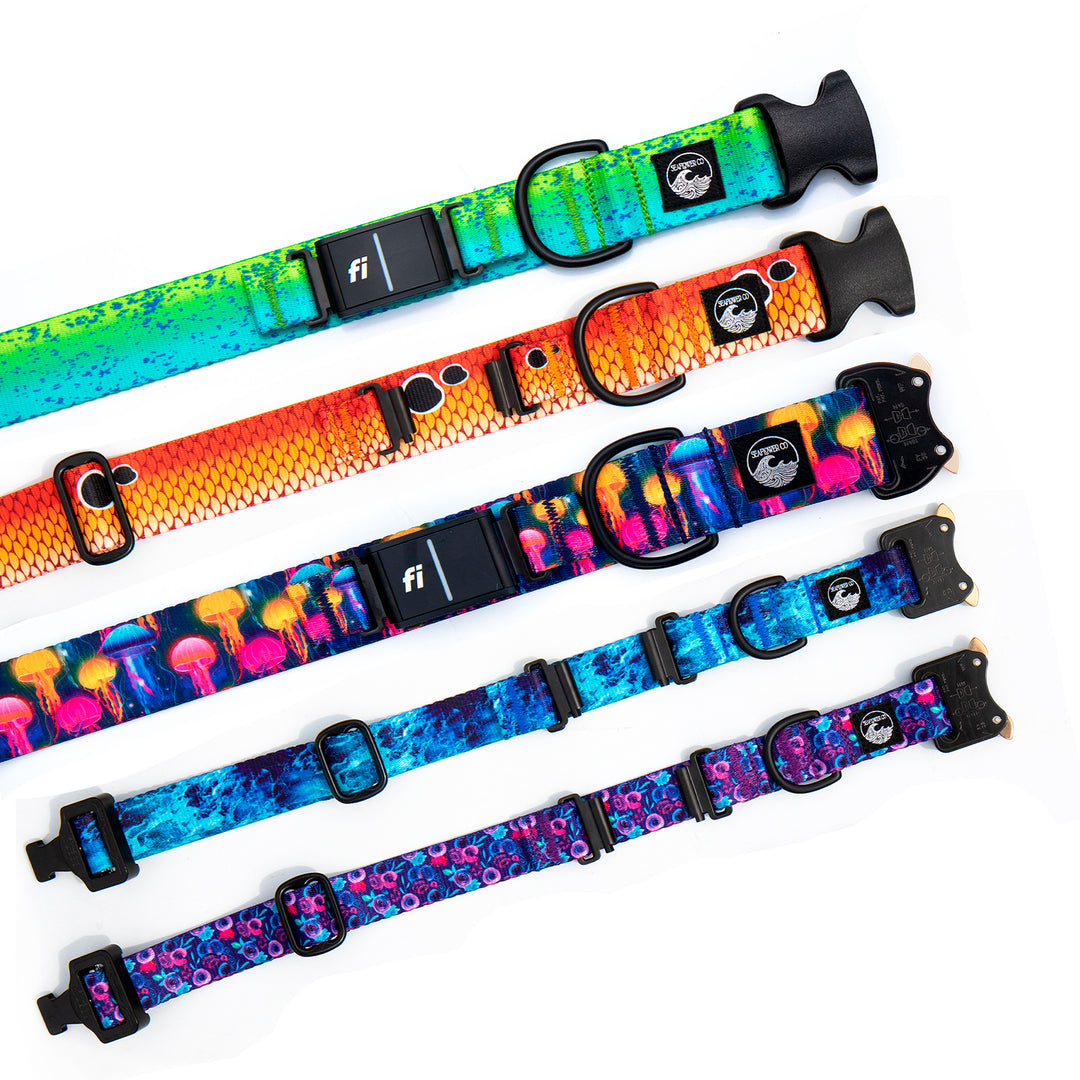 Fi Compatible Collars | SeaFlower Co