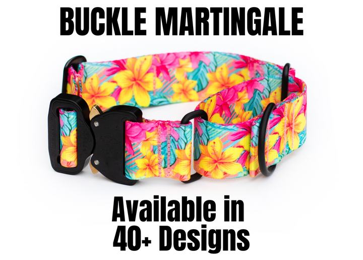 Martingale Collar With Buckle | SeaFlower Co