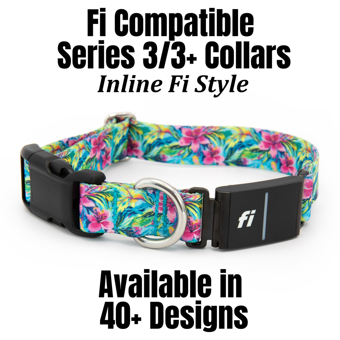 Colorful Hawaiian floral-patterned dog collar with inline fi 3/3+ compatible collar on a white background