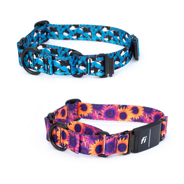 Fi 3/3+ Compatible Martingale Collar Without Buckle