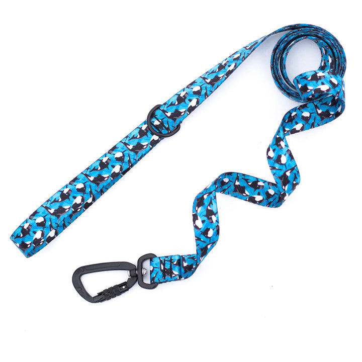 orca dog leash on white background