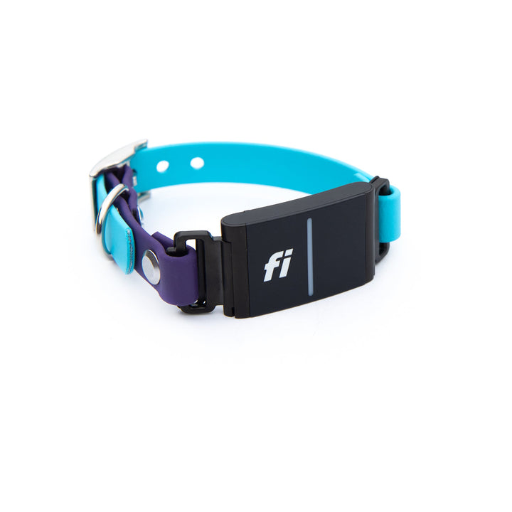 Small Dog Fi 3 Compatible Collar | SeaFlower Co