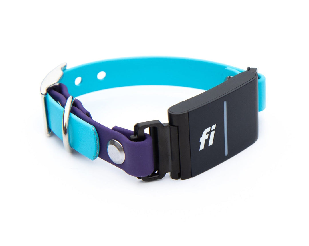 Small Dog Fi 3 Compatible Collar | SeaFlower Co