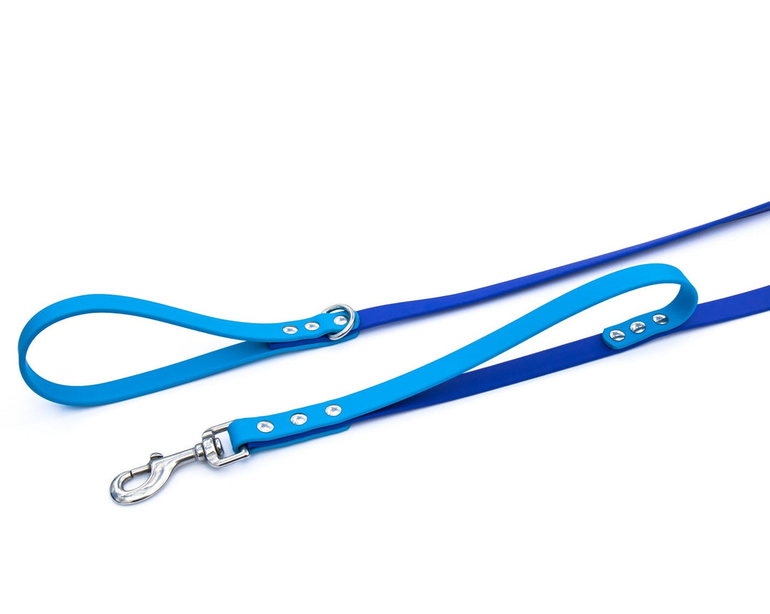 Two Toned BioThane® Leash With Traffic Handle