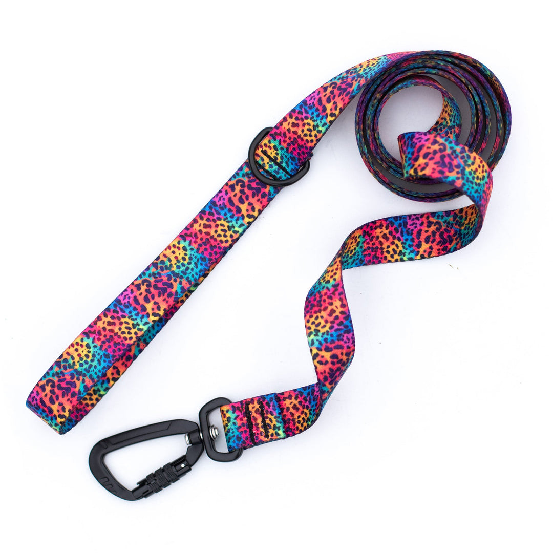 Colorful leopard print dog leash with a black carabiner on a white background