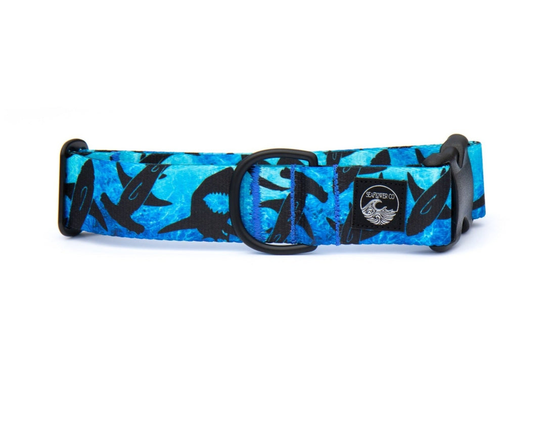 Shark Dog Collar | SeaFlower Co