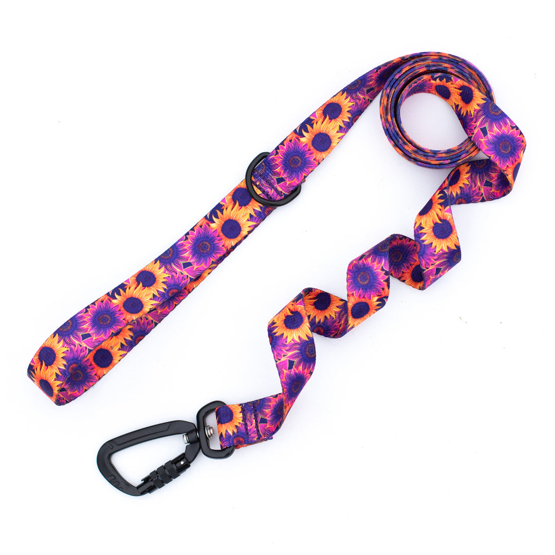 Colorful sunflower patterned dog leash on a white background