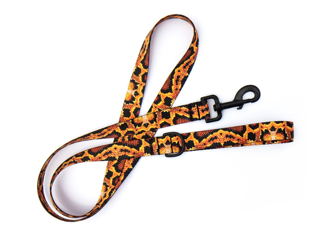 Snake Skin Dog Leash | SeaFlower Co