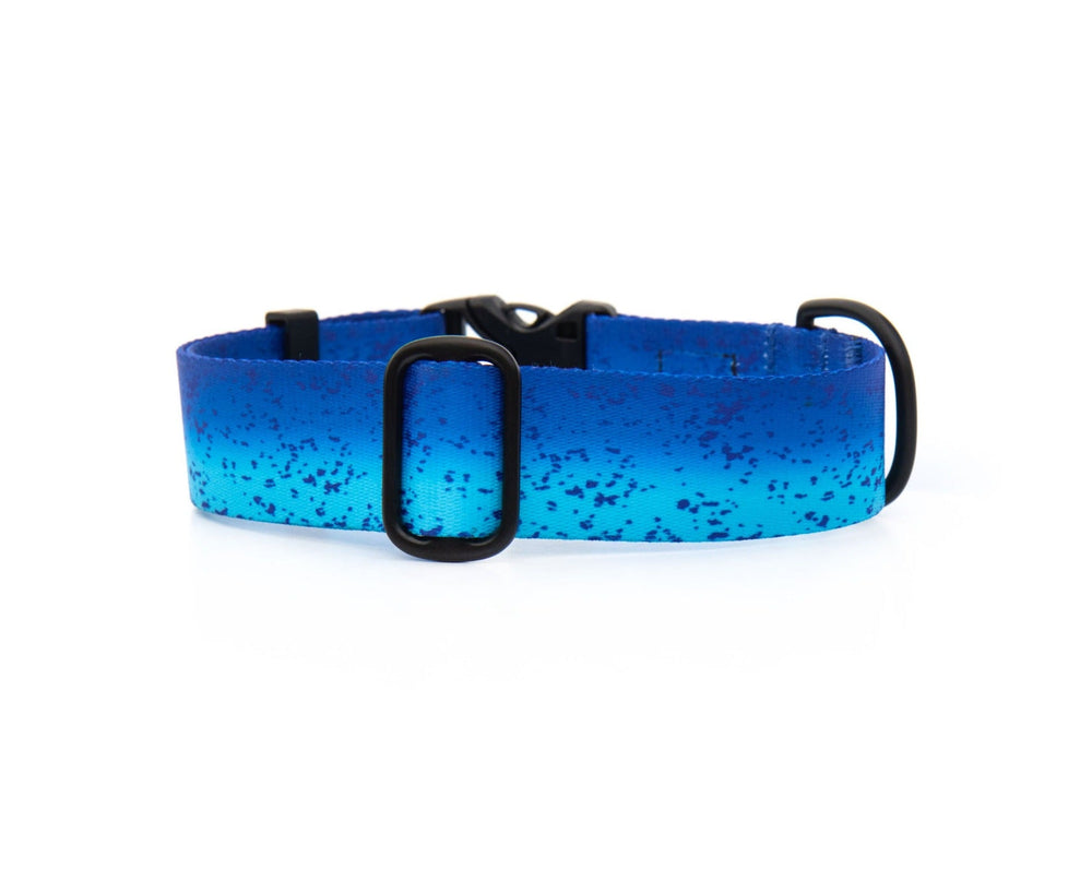 Blue Mahi Dog Collar | SeaFlower Co