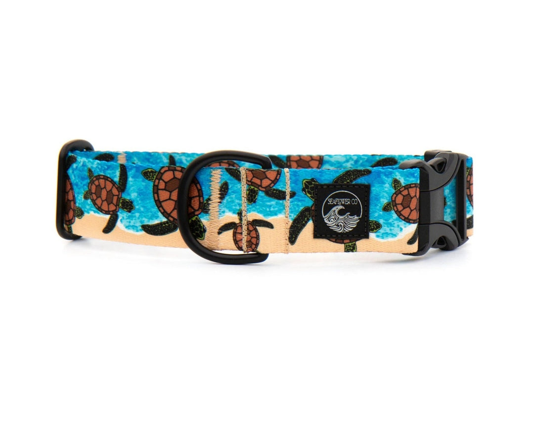 Sea Turtle Dog Collar | SeaFlower Co