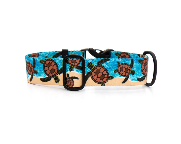 Sea Turtle Dog Collar | SeaFlower Co