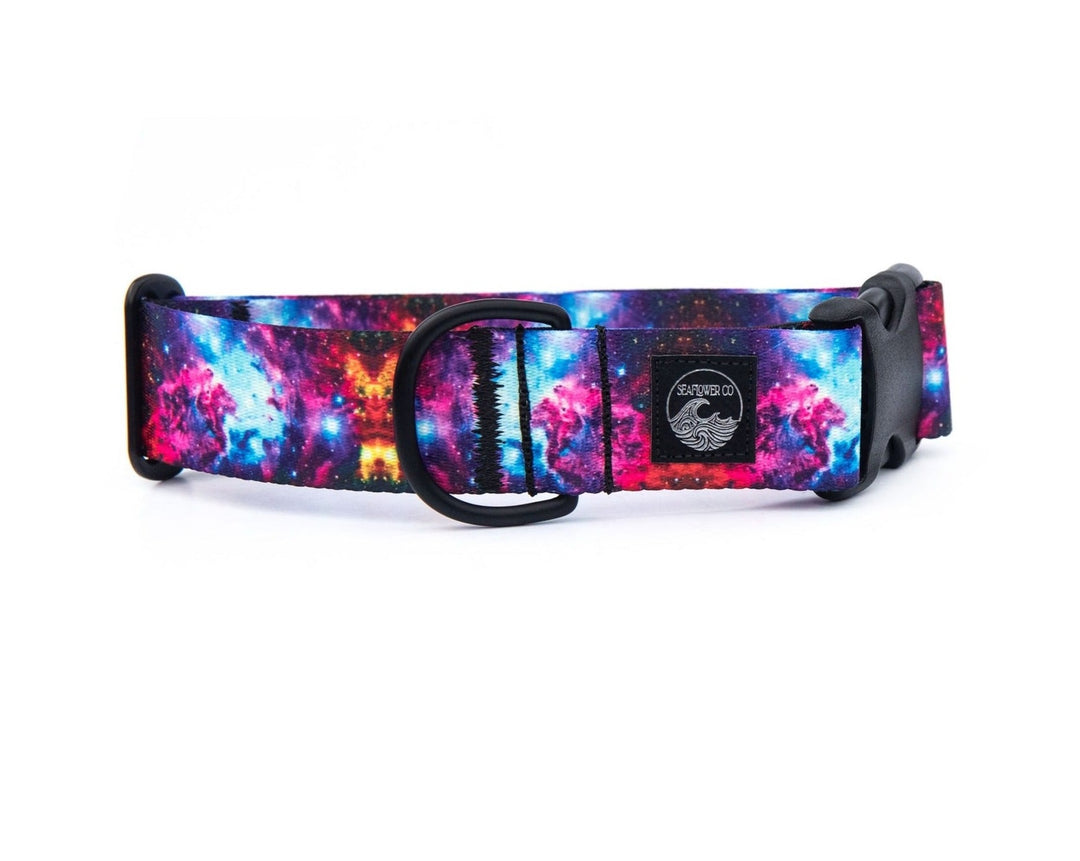 Galaxy Dog Collar | SeaFlower Co