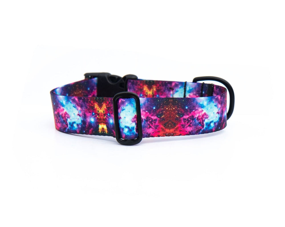 Galaxy Dog Collar | SeaFlower Co