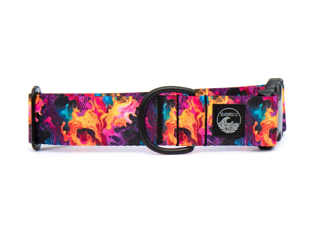 Vibrant Flames Dog Collar | SeaFlower Co
